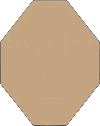 Range Solutions IPSC target 50 pcs.