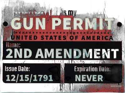 Lucky Shot GUN PERMIT Rectangular Magnet