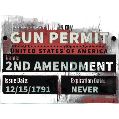 Lucky Shot GUN PERMIT Rectangular Magnet