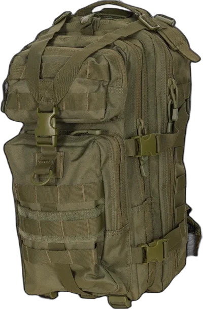 Assault Pack 23L Backpack Olive