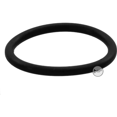 ICS Alpha O-Ring [ICS-AF76]