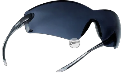 Schutzbrille "Cobra", smoke (COBPSF)