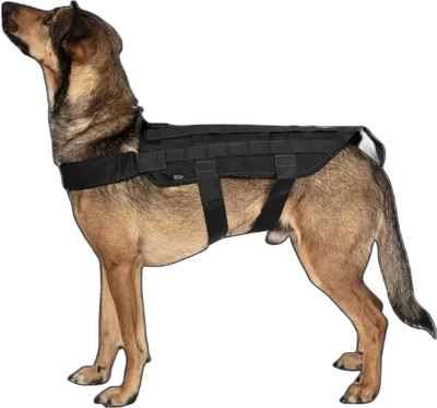 Primal Gear Tactical Dog Vest - Black