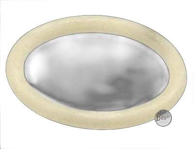 M9 / KP-05 / KP-06 Part No. CM6 - CO2 O-Ring Verschluss