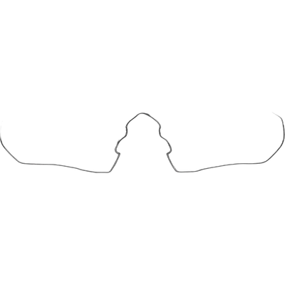 Swiss Eye Replacement Swiss Eye visor for Nighthawk goggles Transparent