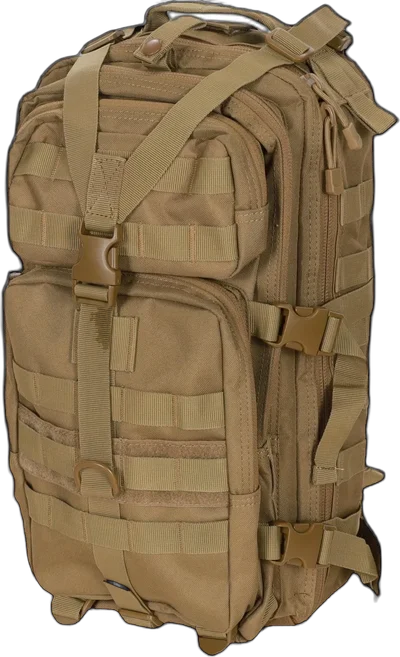 Assault Pack 23L Backpack Tan